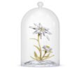 Swarovski Florere 130th Anniversary Bell Jar 5701376